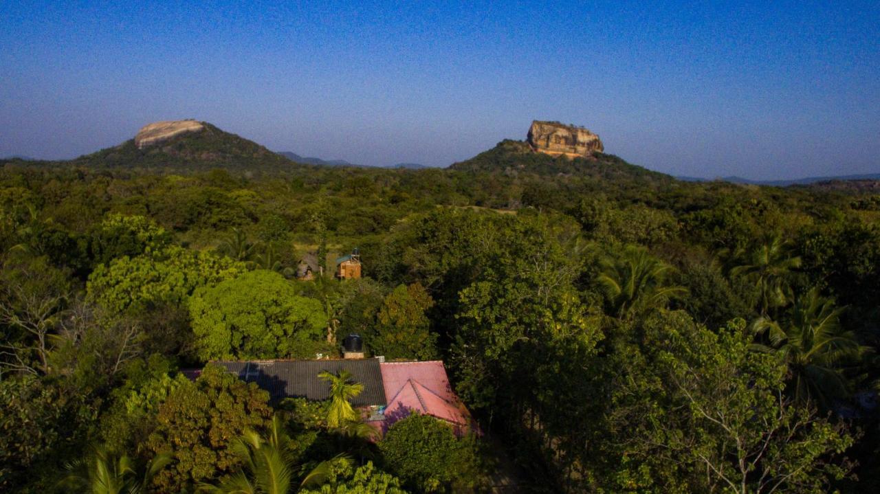 Sigiriya Rock Gate Tree House Otel Dış mekan fotoğraf
