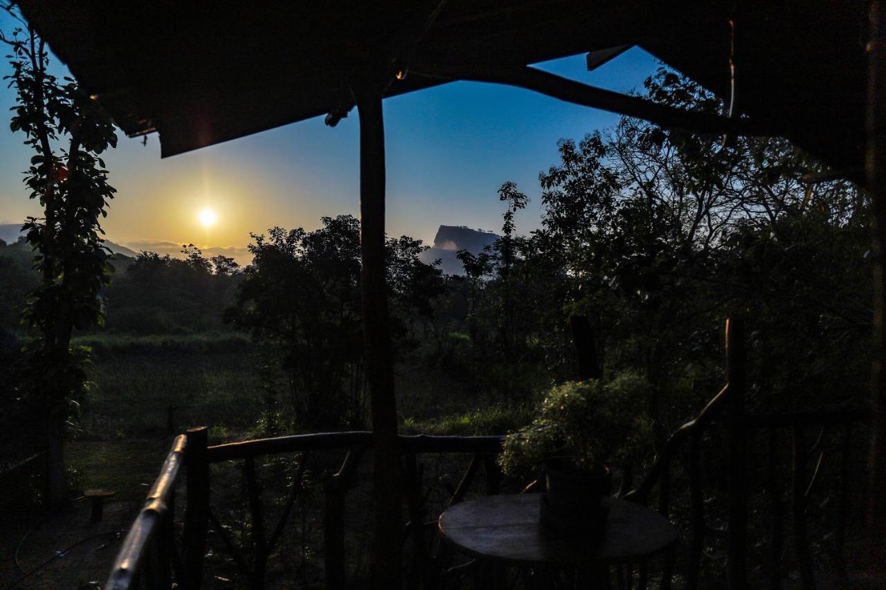 Sigiriya Rock Gate Tree House Otel Dış mekan fotoğraf