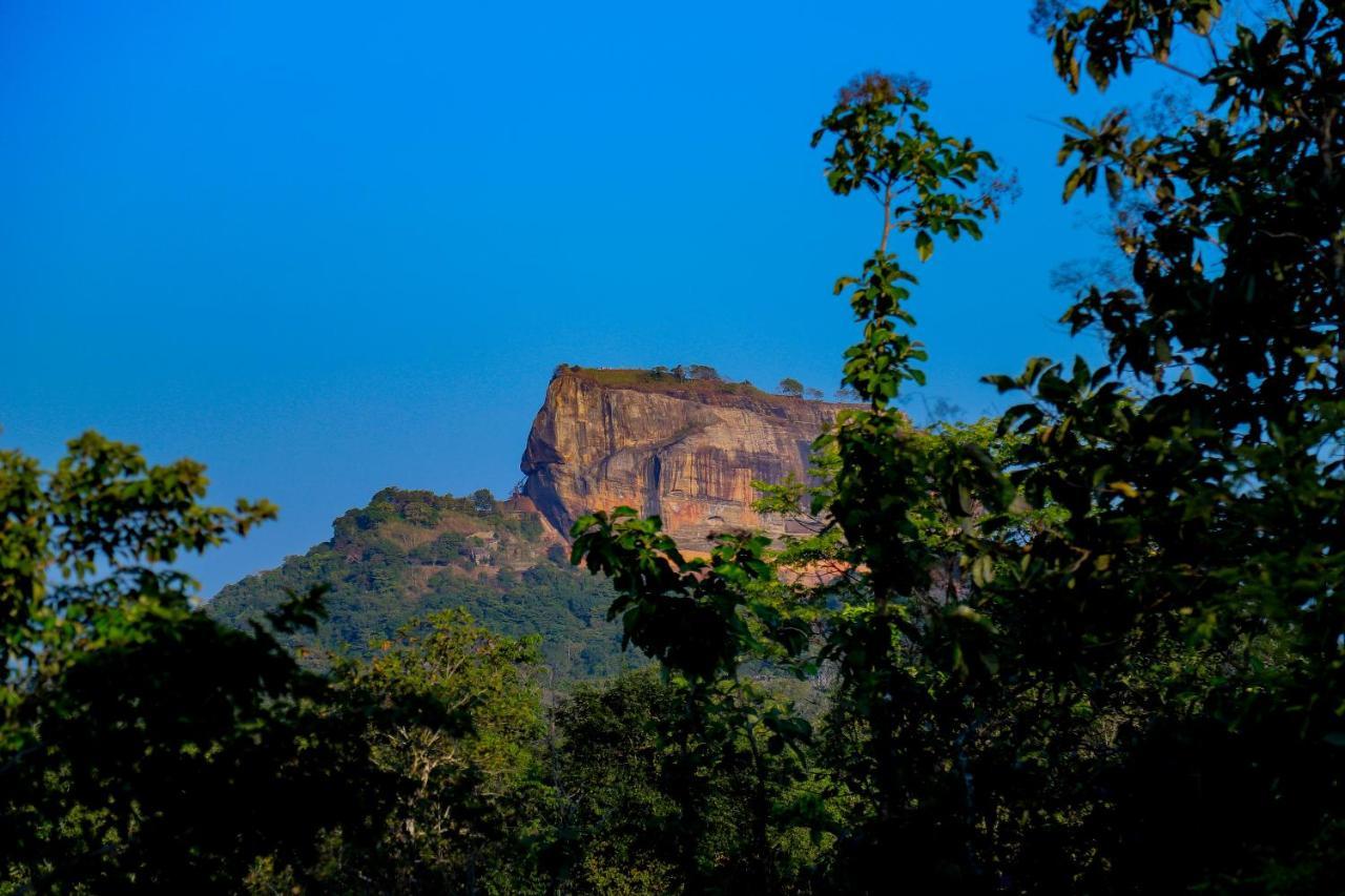 Sigiriya Rock Gate Tree House Otel Dış mekan fotoğraf