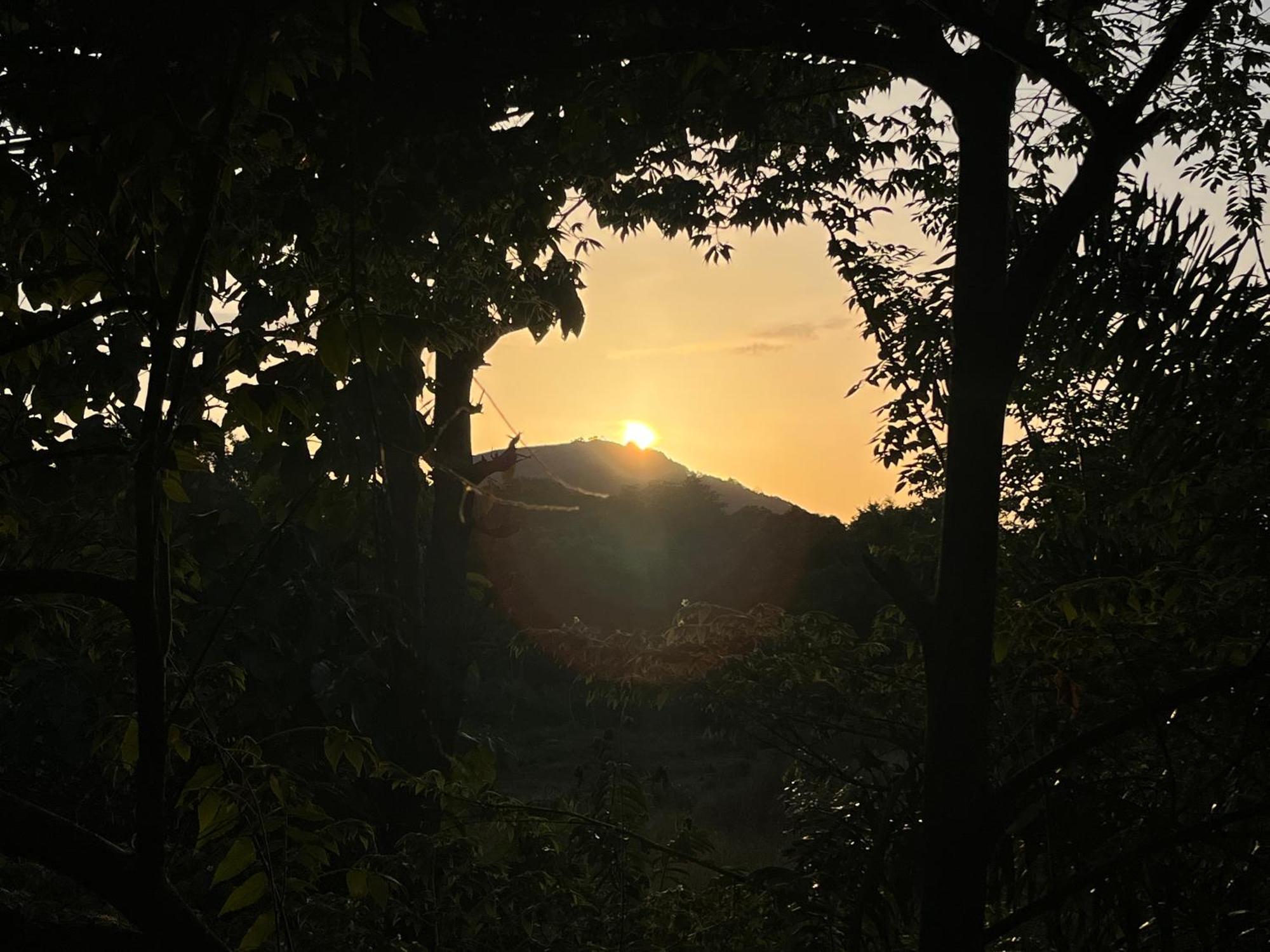 Sigiriya Rock Gate Tree House Otel Dış mekan fotoğraf