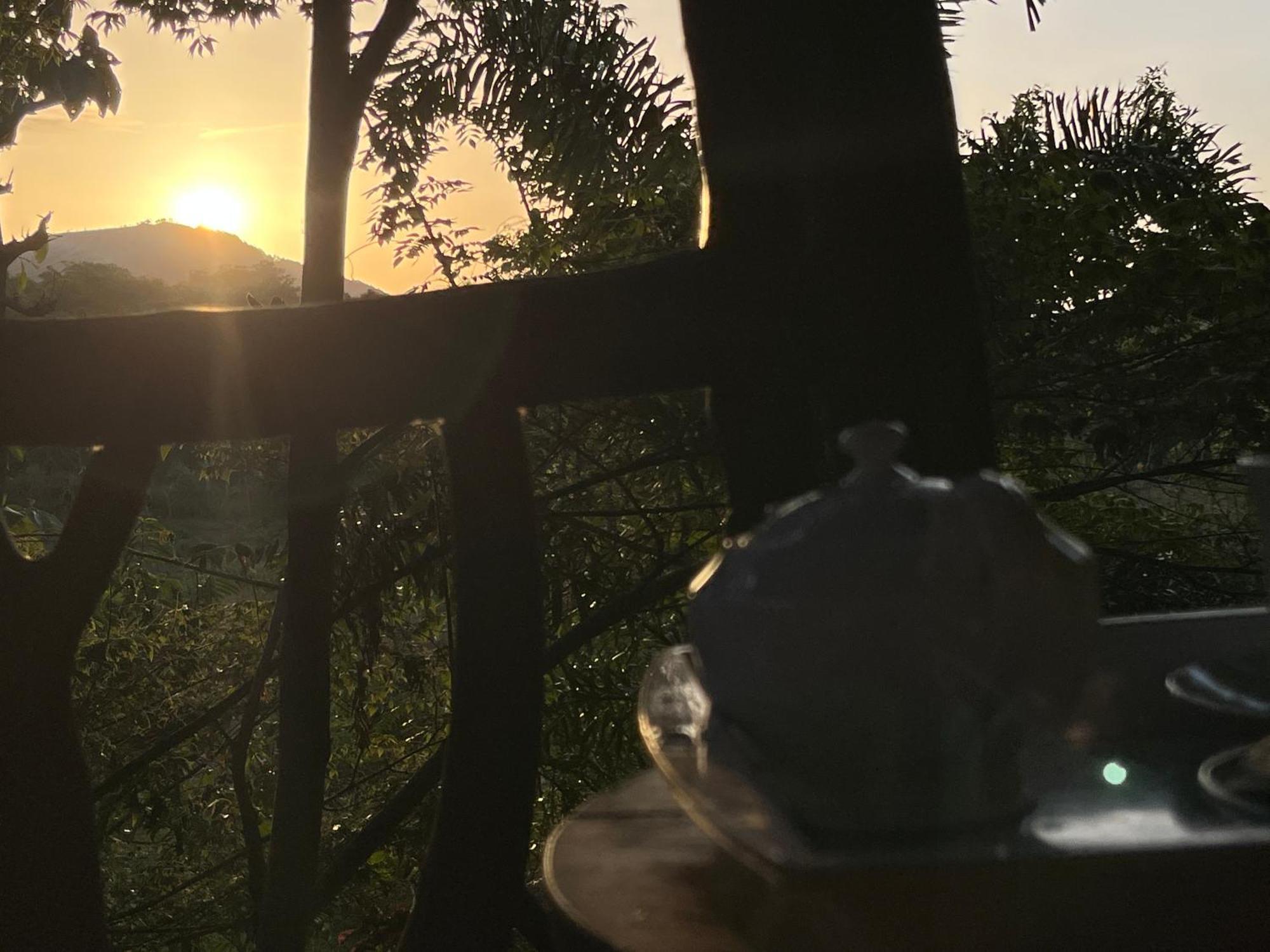Sigiriya Rock Gate Tree House Otel Dış mekan fotoğraf