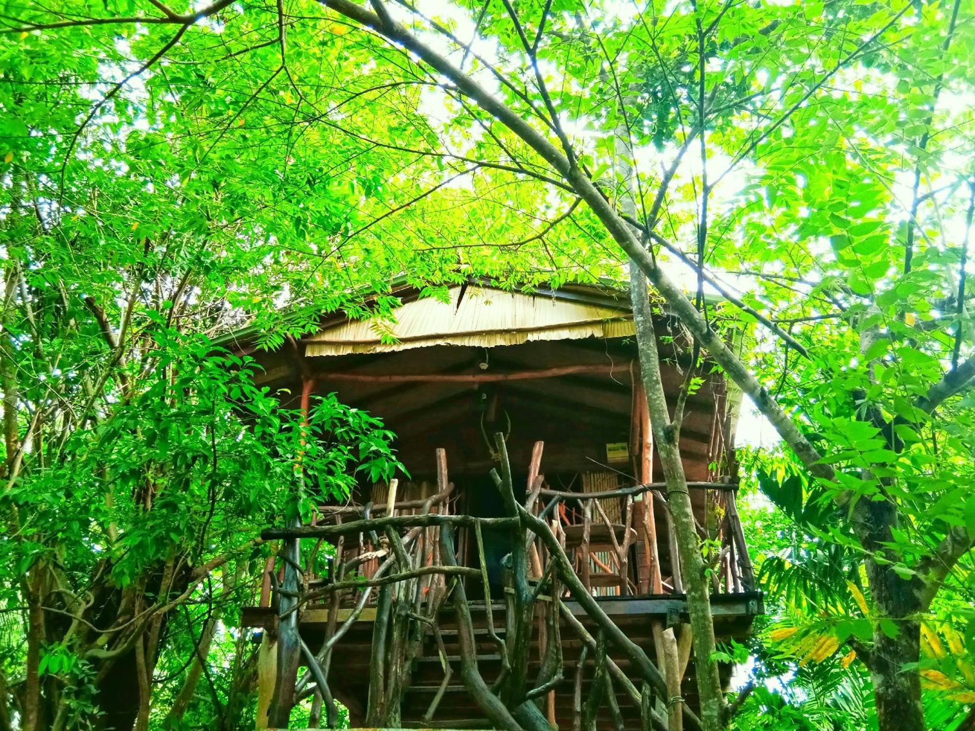 Sigiriya Rock Gate Tree House Otel Dış mekan fotoğraf