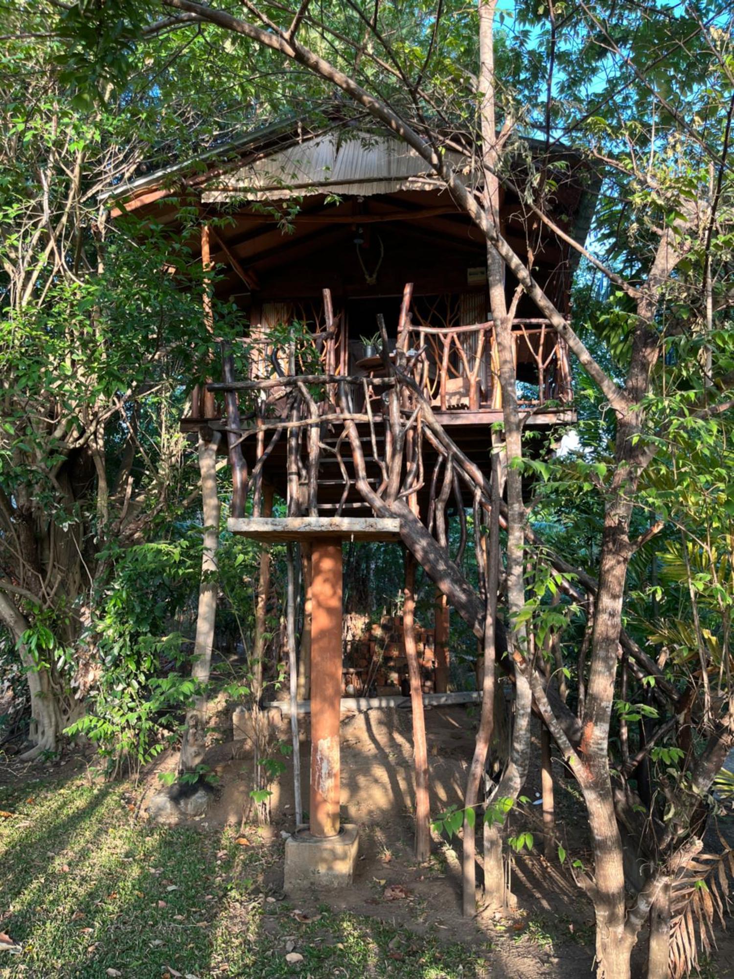 Sigiriya Rock Gate Tree House Otel Oda fotoğraf