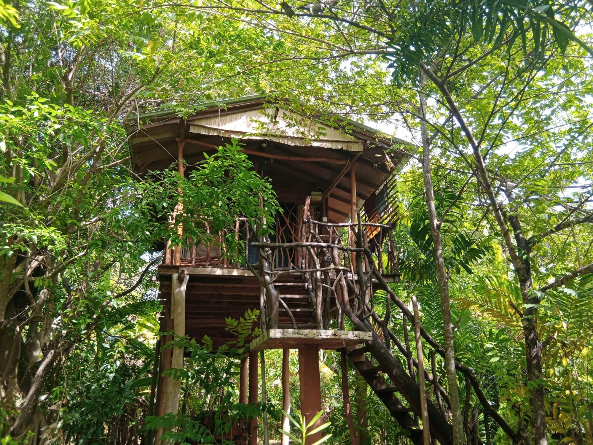 Sigiriya Rock Gate Tree House Otel Oda fotoğraf
